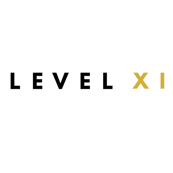Level XI
